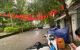 thum-9247884_0aBJs6LjxE_1788921203.jpeg
