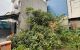 thum-9247918_FLxQpI9c25_1788923987.jpeg