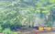 thum-m_QSeVcvPGbI_1788918865.jpg
