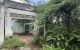 thum-m_LM5Ho68BC4_1789297836.jpg