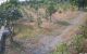 thum-9248354_so4qvgx2fC_1789479488.jpg