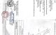 thum-9248481_PLZUA9bCS2_1789612190.jpg