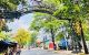 thum-9248554_brRoxEqBG7_1789699599.jpeg