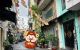 thum-m_7pNMdBSE2J_1789716002.jpeg
