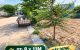 thum-m_JfBOY7bpxc_1789710089.png