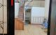 thum-m_eG5orthBRd_1789793679.jpg
