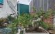 thum-m_biryoTkwQC_1789877018.jpg