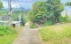 thum-m_TaIzJlFf2R_1790042080.jpg