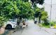 thum-9249009_VGcyK3bfBD_1790298687.jpeg