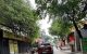thum-m_tBqzRW521L_1790315297.jpg