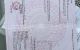 thum-9249138_2QRTx7Z8cX_1790499749.jpeg