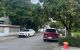 thum-9249184_AJ28cv1bVi_1790564688.jpg