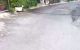 thum-9249383_Io7xet0B61_1790771282.jpg