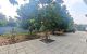 thum-m_itwhsILS05_1790829270.jpg