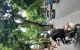 thum-9249574_wqWSf3UhgN_1791033279.jpg