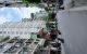 thum-m_RZUfc1lSBh_1791033258.jpg
