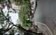 thum-m_4Yh27bsMk0_1791096843.jpg