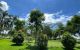 thum-9249722_xAGoeNP2L0_1791257539.jpg