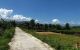 thum-9249855_cN6j5JKp97_1791426831.jpg