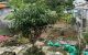 thum-9249936_PIAm1YX873_1791515897.jpg