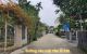 thum-9250114_2wNEdFYRhA_1791789355.jpg