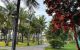 thum-m_N4sCdTKhcj_1792426140.jpg
