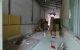 thum-9250623_wNbMkH6svz_1792463643.jpg