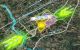 thum-m_wdHMnToGA5_1792486738.jpg