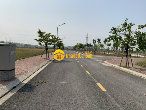 7658735_eutTDmx3Kv_1615607558.jpg