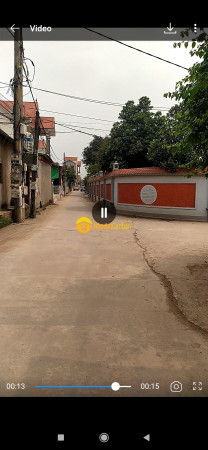7781107_5bSUNku9PX_1617786969.jpg