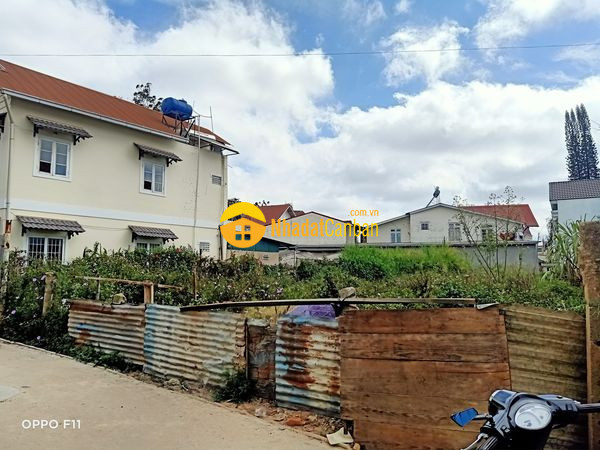 m_ZG54BUPeK8_1617873683.jpg