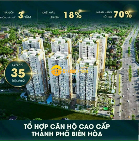 m_ED5M42icgs_1618368574.jpg