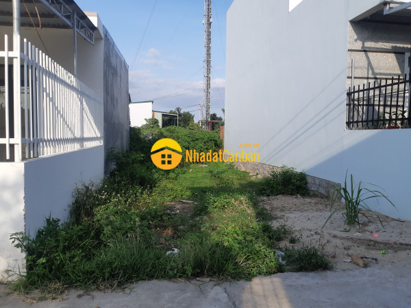 m_WNXpdBe6x7_1619324488.jpg