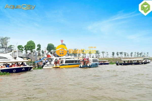 7861991_oCDY8zIlhE_1619606545.jpg