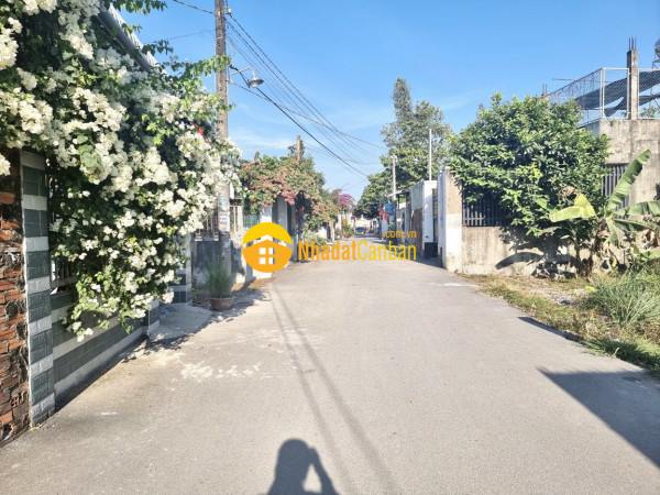 7972568_LwzAOuirGf_1623723046.jpg