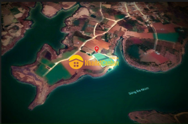 7974890_jNyOvaI8Fc_1623810522.jpg
