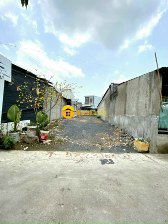 7987379_ULSXE7edal_1624269102.jpg