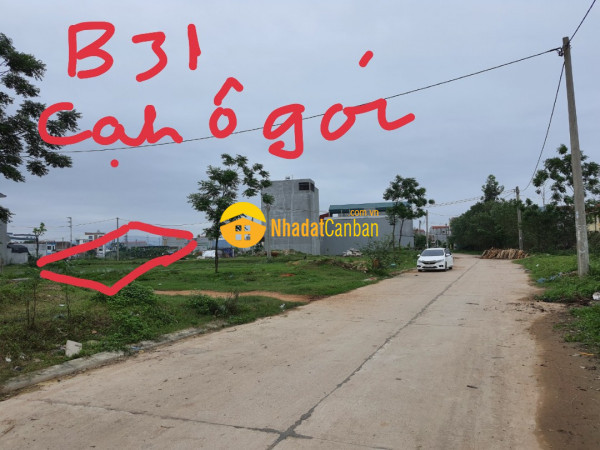 m_SBANpv0b37_1625622125.jpg