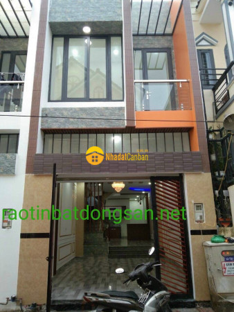 8047494_evdYnr65CS_1626882411.jpg