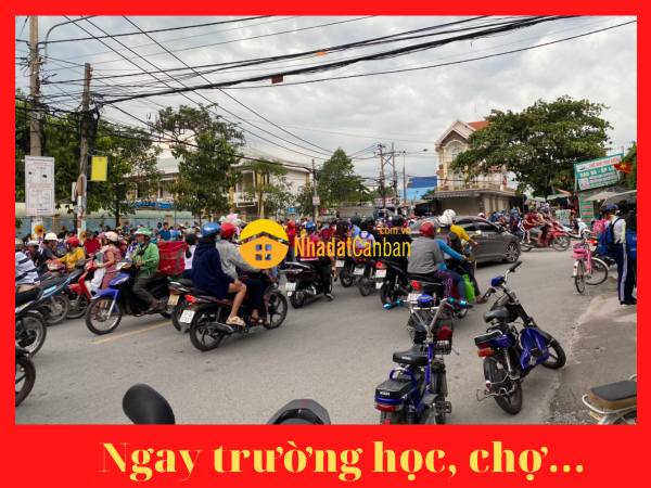 8050779_hxsDML1a0w_1627031229.png