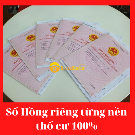 8059759_gLnybv5JGh_1627461060.png