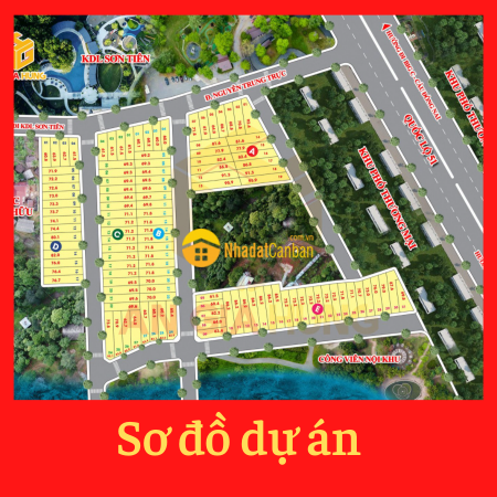 8063261_bS0YdKUvTs_1627615540.png