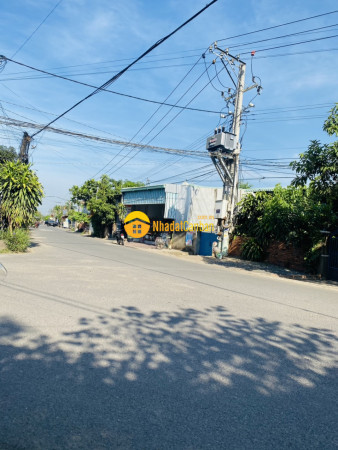 8118932_AXHv5IyhTk_1630464953.jpg