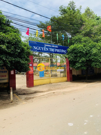 8136217_K1Nmd4fOau_1631578353.jpg