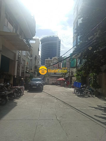 8141791_3xpzFg7eus_1631976441.jpeg