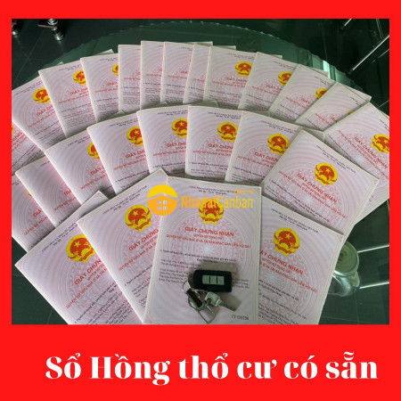 8148661_JM0c93pIZn_1632473731.jpg