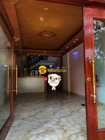 8153623_VJS93HZAYv_1632840835.jpg