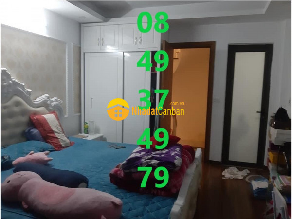 8153641_tn341Efzo6_1632843330.jpg