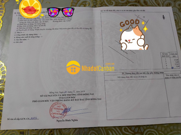 m_LxKZSG9YFT_1634085416.jpg