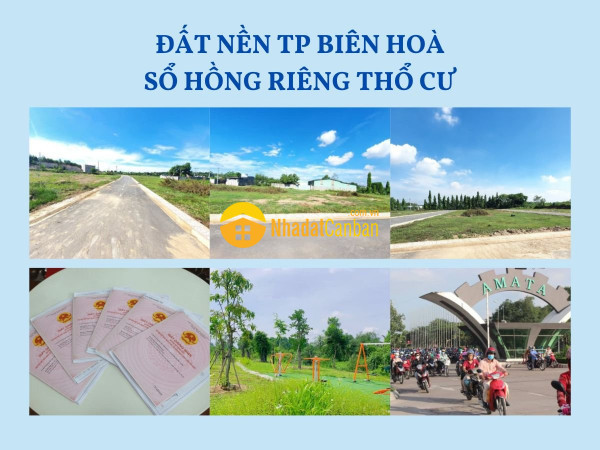 m_0LBG6VKk25_1634205372.jpg